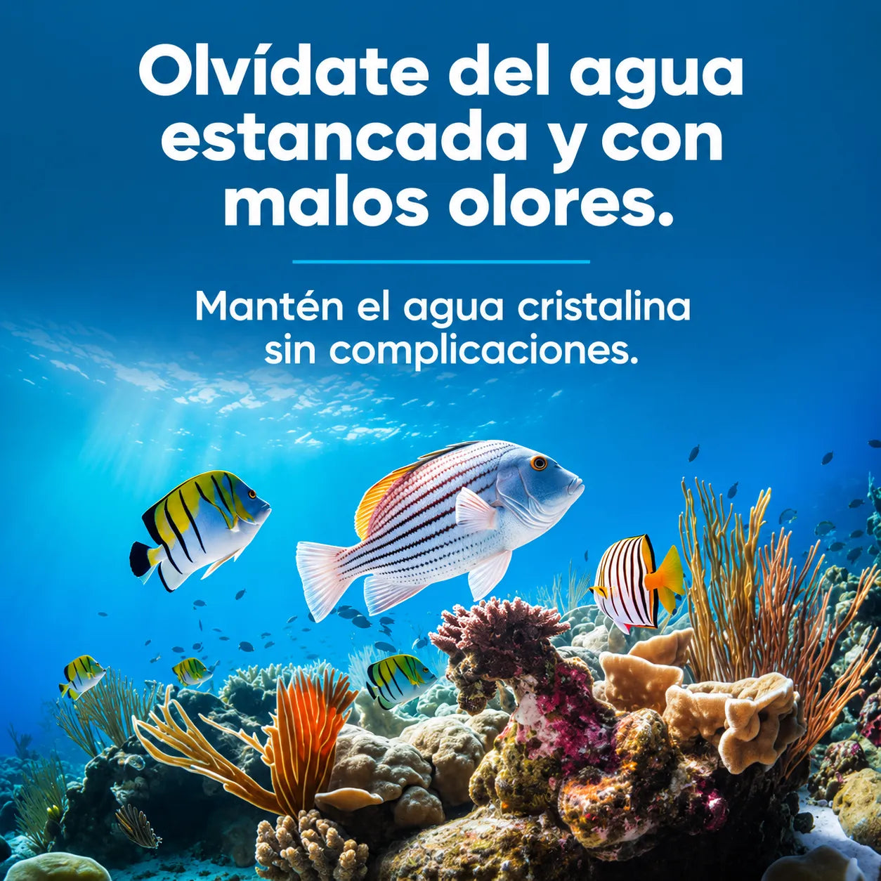 🐟 AquaFlow Pro™ Filtro Automático Silencioso para Acuarios💧