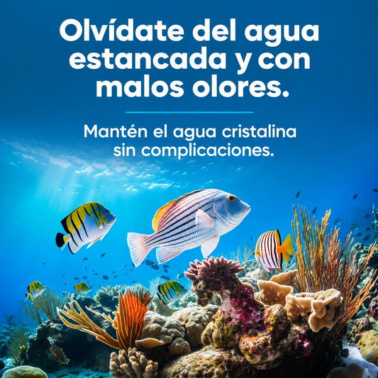 🐟 AquaFlow Pro™ Filtro Automático Silencioso para Acuarios💧
