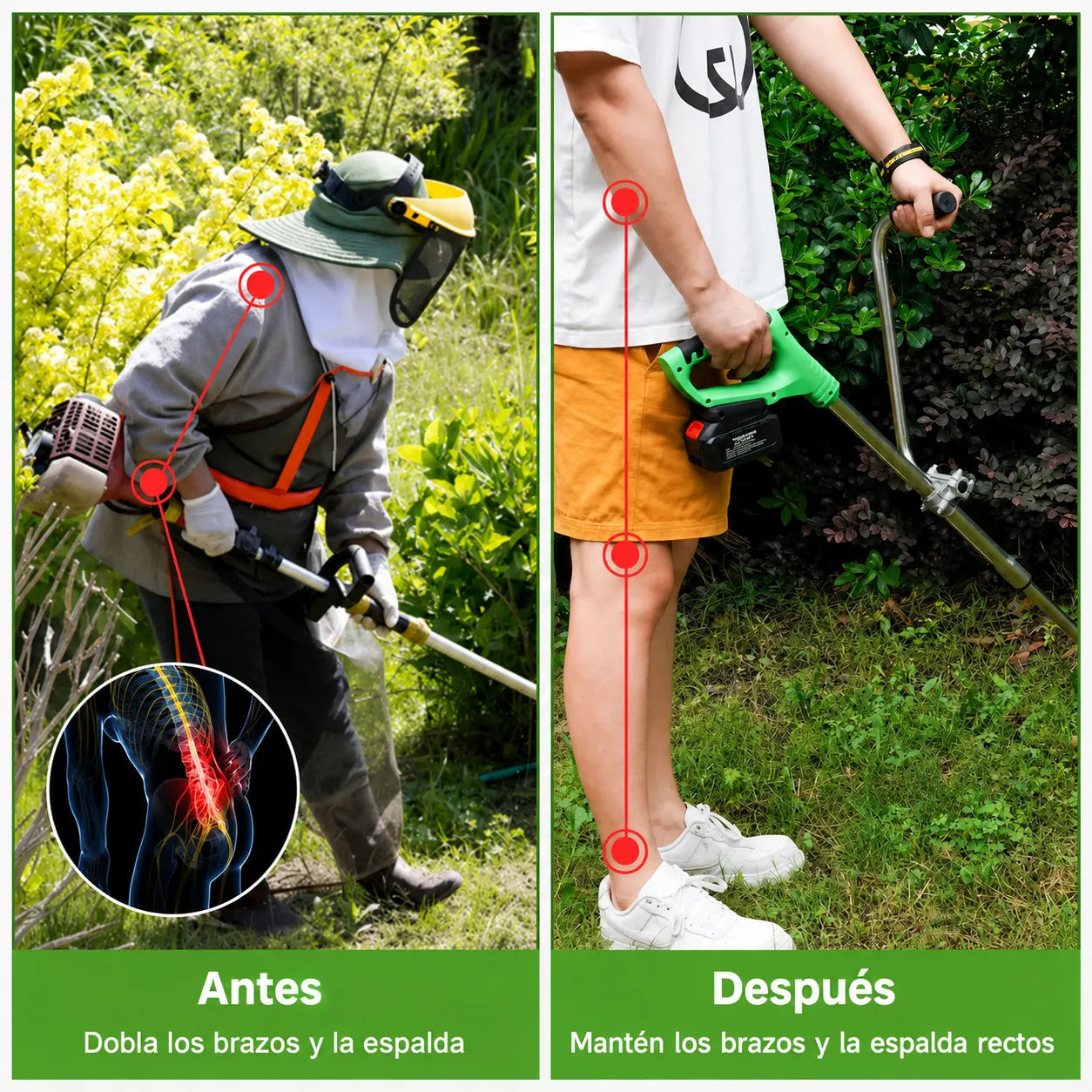 ErgoCaster™ Mango Auxiliar Ergonómico 🌿🌳