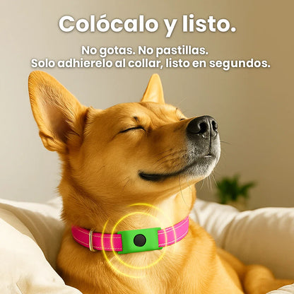 FurCare™ Eliminador Natural Antipulgas y garrapatas