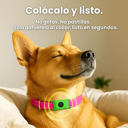 FurCare™ Eliminador Natural Antipulgas y garrapatas