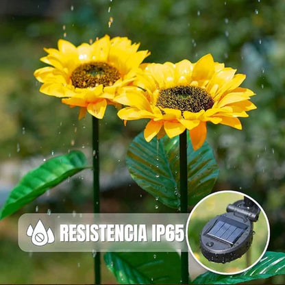 GardenGlow™ Faroles de Girasol para Jardín (2 Unidades)