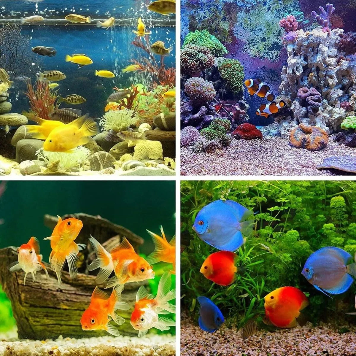 LumiFish™ Lámpara LED Sumergible para Acuarios